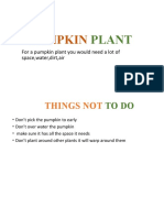 Pumpkin Plant (Autosaved)