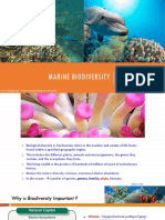 1633309161158_TOPIC-2-2021-Marine-Biodiversity