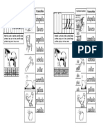 2ºbásico, Clase 7 Lenguaje Unidad 1 Lección Caballo 2022 PPTX (45 Copias)