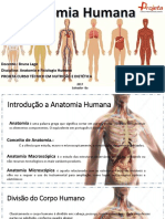 Aula - Introdução à Anatomia e Fisiologia Humana e Sistema Esquelético