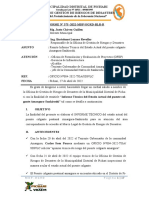 Informe Puente Amargura PDF