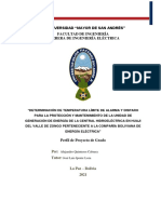 Perfil Alejandro Quinteros Cabrera-Parámetros Límite