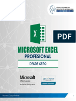 Excel Profesional 2021