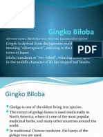 Gingko Biloba: Gingko Is Derived From The Japanese Word Ginkyo