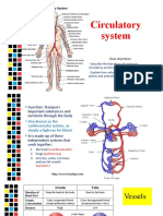 Circulatory System