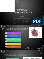 Sistema Cardiovascular - Histologia