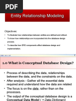 Entity Relationship Modeling