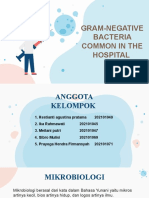 Kel 2 Gram-Negative Bacteria Common in The Hospital