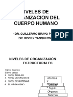 MF Clase I 1A NivelesOrganizacion PlanosAnatomicos 2022