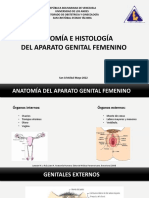 Histologia y Anatomia Ginecologica 