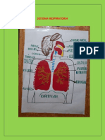 Sistema Respiratoria 31-05-2021