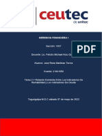 Tarea 2.1 Relación Existente Entre Los Indicadores de Rentabilidad y Los Indicadores de Deuda