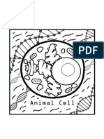 Celula animal_pintar