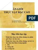 Phân Giới Thực Vật Bậc Cao