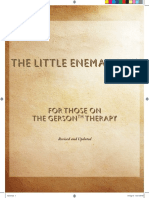 The Little Enema eBook