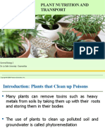 Plant Nutrition and Transport