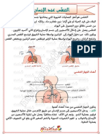 التنفّس عند الإنسان