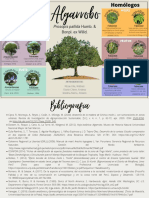 Algarrobo y sus análogos: características comparativas