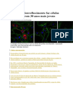 Técnica Antienvelhecimento Faz Células Da Pele Ficarem 30 Anos Mais Jovens