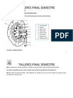 Taller Final Morfofisiologia