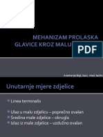 29.Mehanizam Prolaska Glavice i Tehnika Porađanja