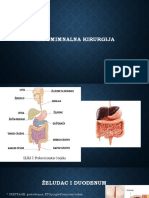 Abdominalna Kirurgija