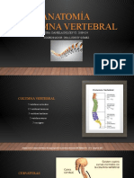 Anatomía Columna Vertebral