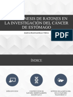 Transgénesis de Ratones en La Investigación Del Cáncer