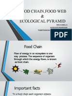 Food Chain, Food Web, Ecological Pyramid