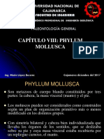 Tema VIII Fhylum Mollusca