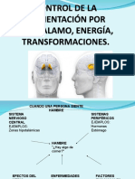 Clase 3-Control de La Alimentación Por Hipotalamo, Energía