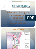 Conjuntiva Anatomiayfisilogiaalangaytan 160814174818