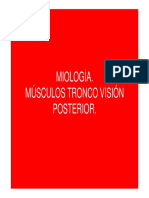 Tronco Posterior Musculos