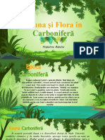 Carbonifera