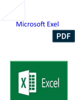 Microsoft Exel