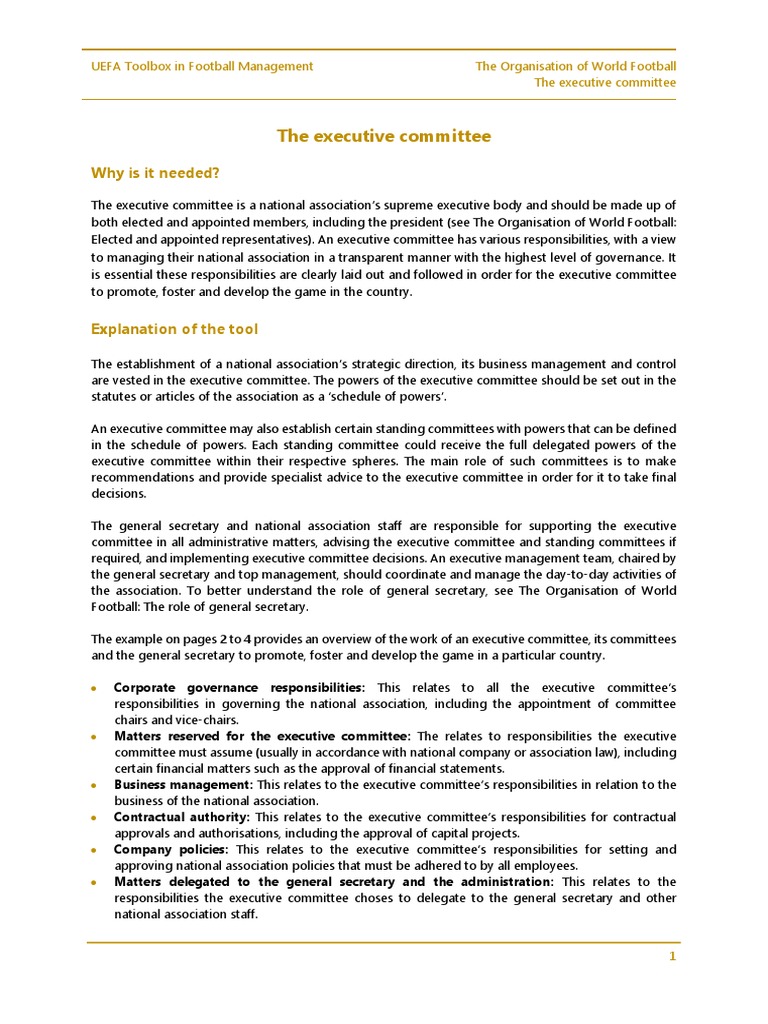 The Executive Committee | PDF | Committee | Internal Control