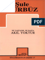 Akıl Yoktur Ne Yaştadır, Ne Başta (Şule Gürbüz)