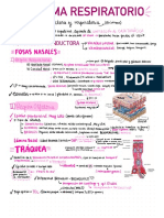 Histología de Sist. Respiratorio