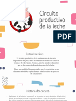 Circuito Productivo de La Leche