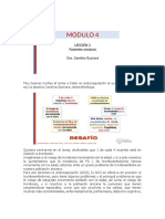 Modulo 4 Leccion 2