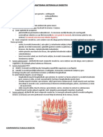 Anatomia Sistemului Digestiv