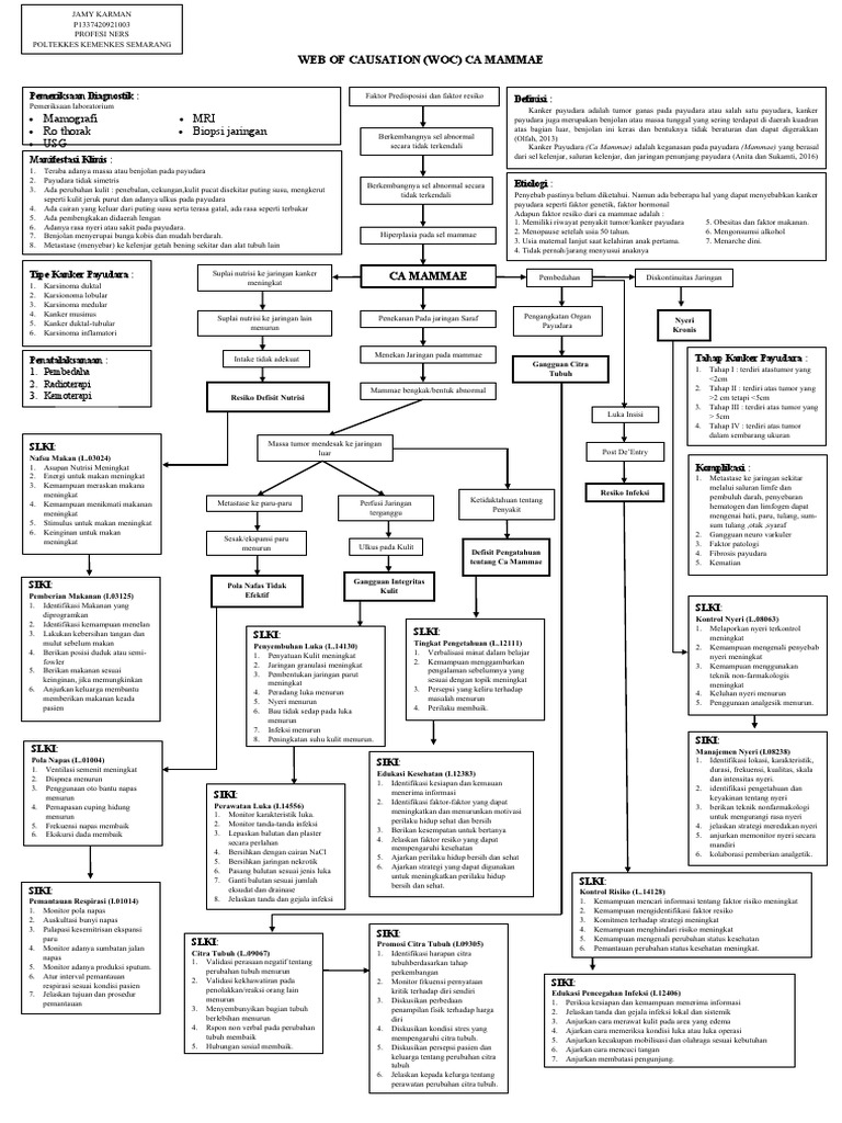 Web of Causation Ca Mammae PDF