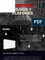 Muros y Plafones