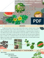 Sodapdf Converted Sandia Horticultura