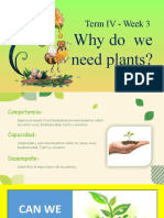 Why We Need Plants - Term IV Week 3