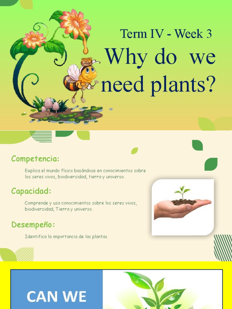 Why Do We Need Plants PDF