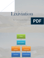 Lixiviation: by Constanza Espinoza