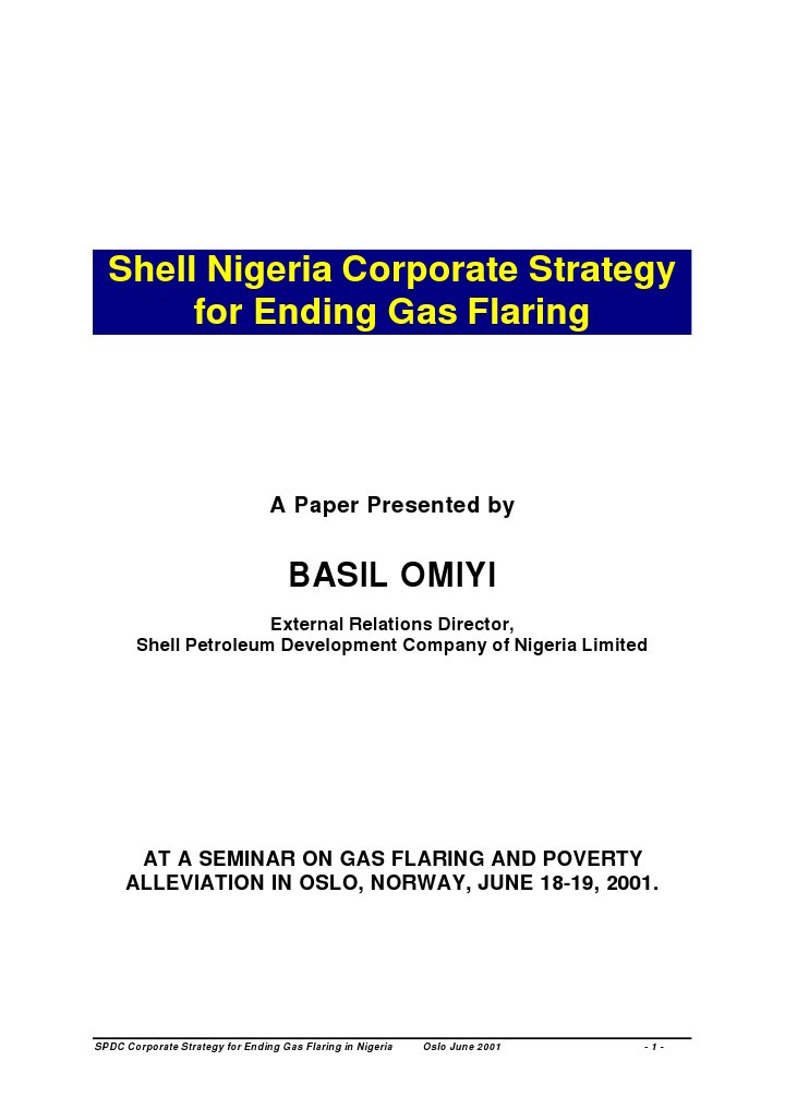 Strategy 4 Gas Flaring PDF Natural Gas Hydroelectricity
