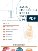 Bases Fisiológicas de La Enfermedad de Cronh DEF