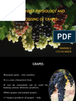 Post Harvest Technology of Grapes